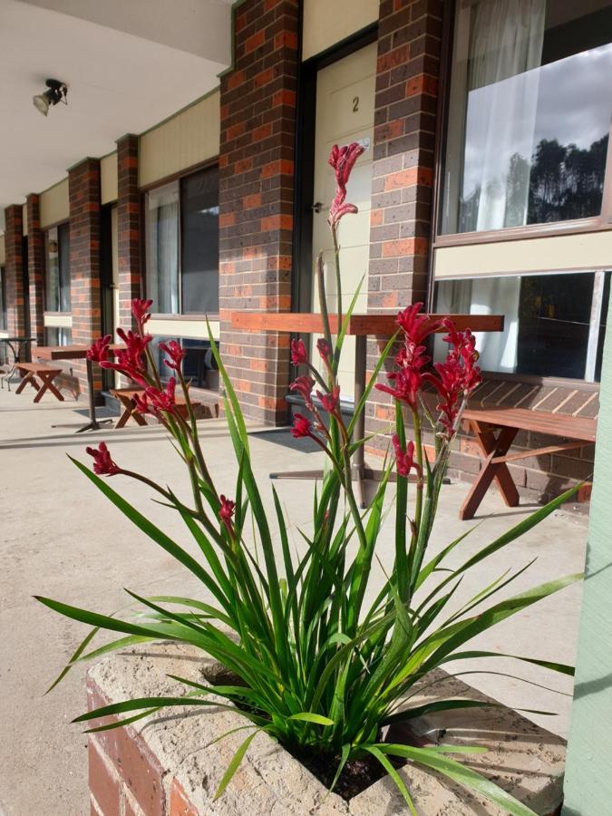 Halls Gap Motel Exterior foto